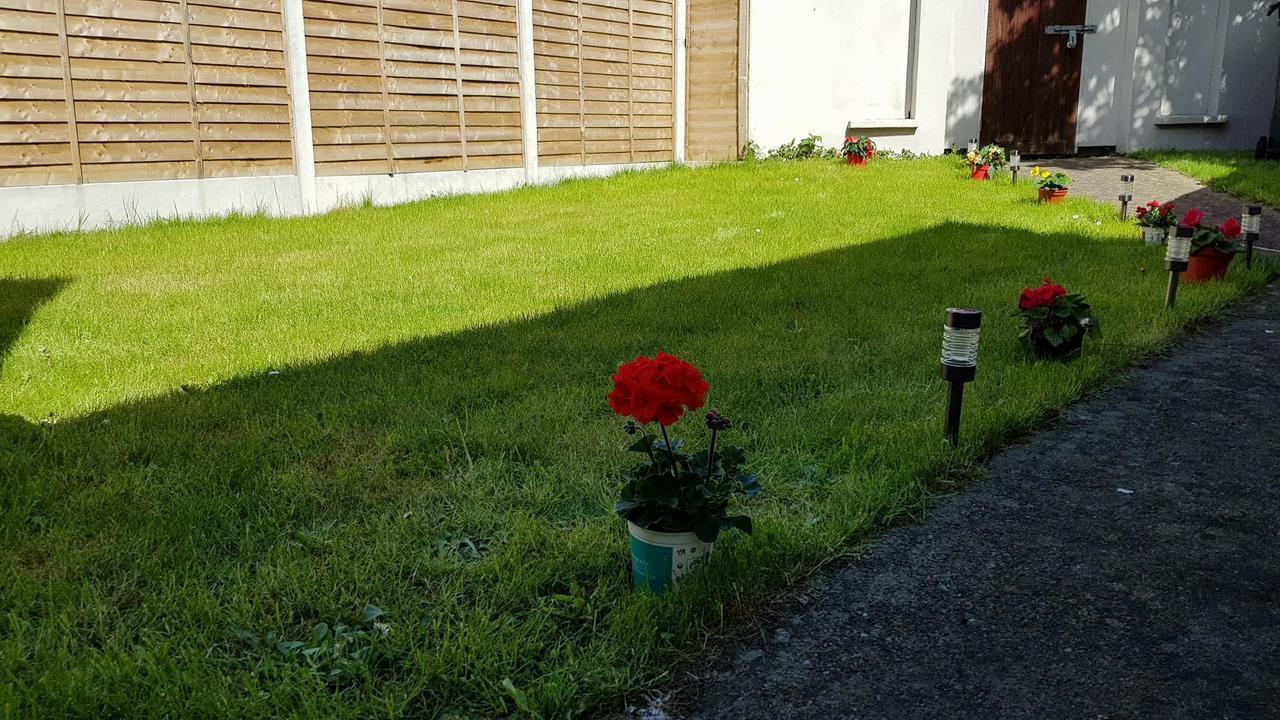 Silver Eagle Bed & Breakfast - Dublin — Photos 3